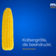 Neckarmedia Social Media Kampagne für MAS Seeds
